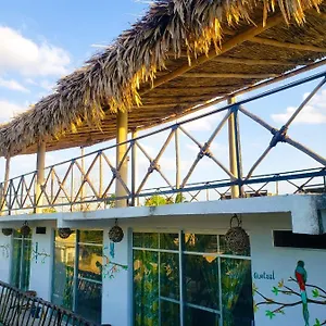 La Casa De Aves Mexico